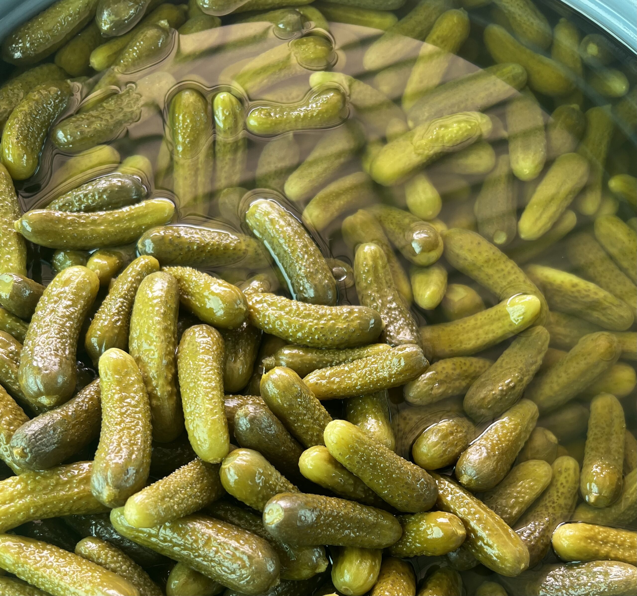 Pickled Gherkins — image 5