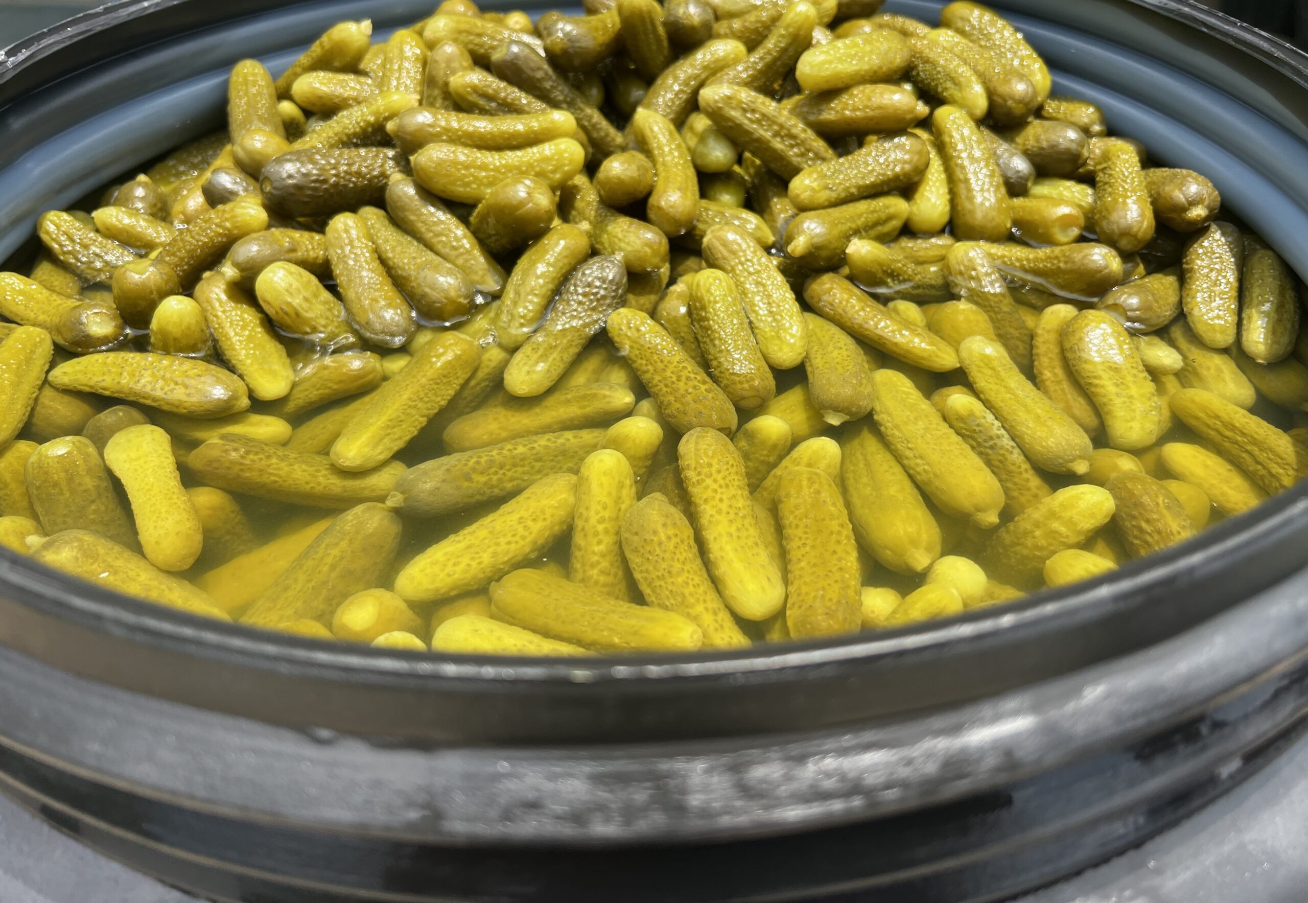 Pickled Gherkins — image 4