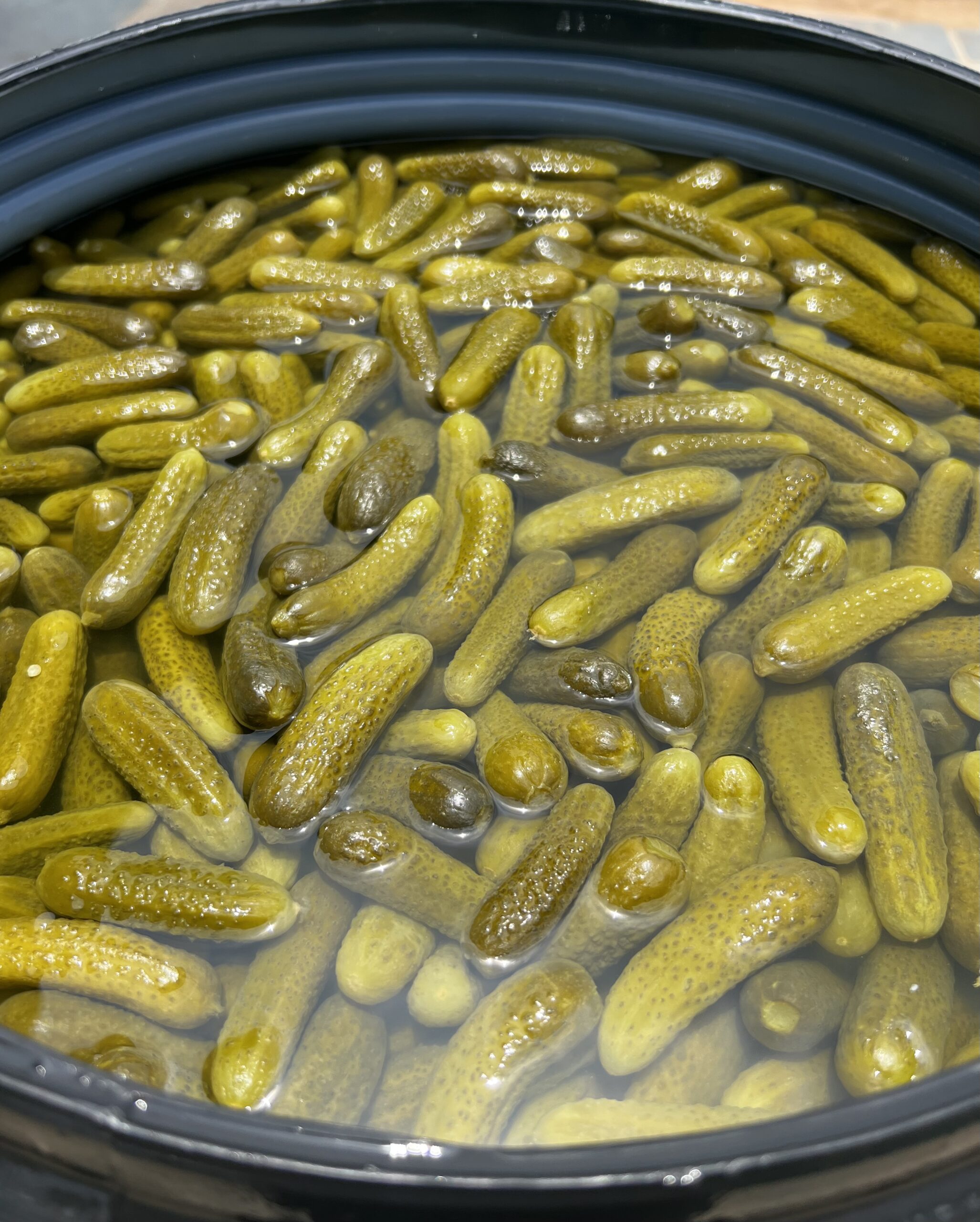 Pickled Gherkins — image 2