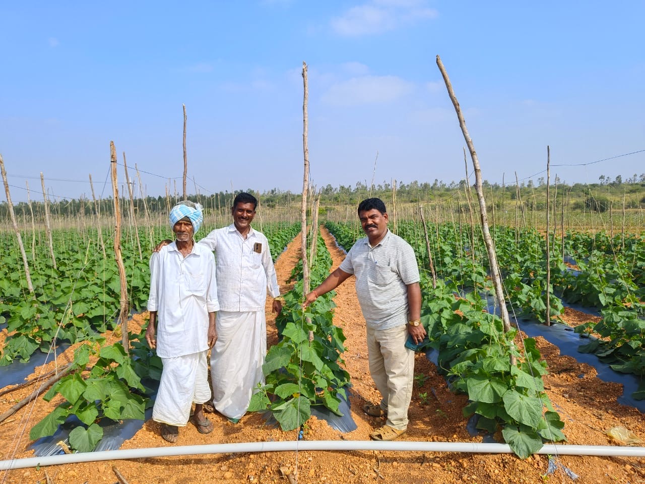 Our Farming