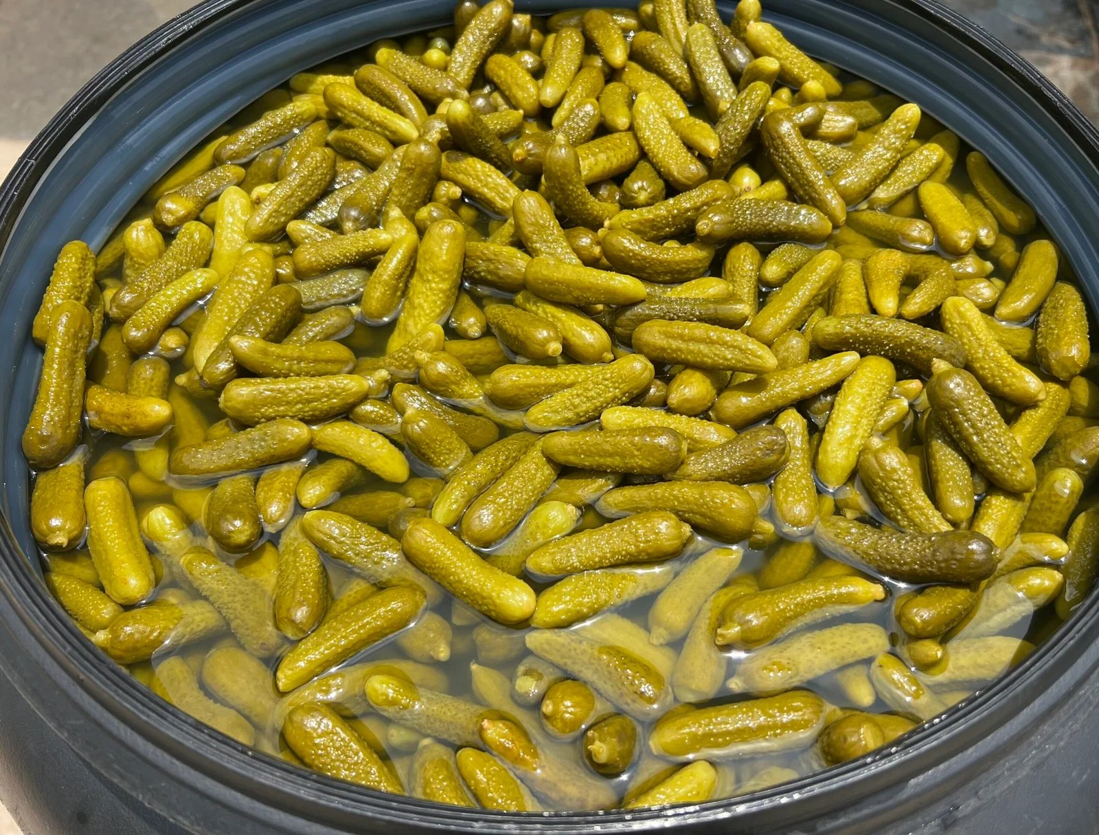 Pickled Gherkins - view 2