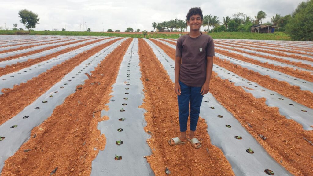 Farm & Agriculture