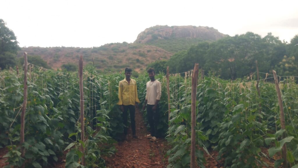 Farm & Agriculture
