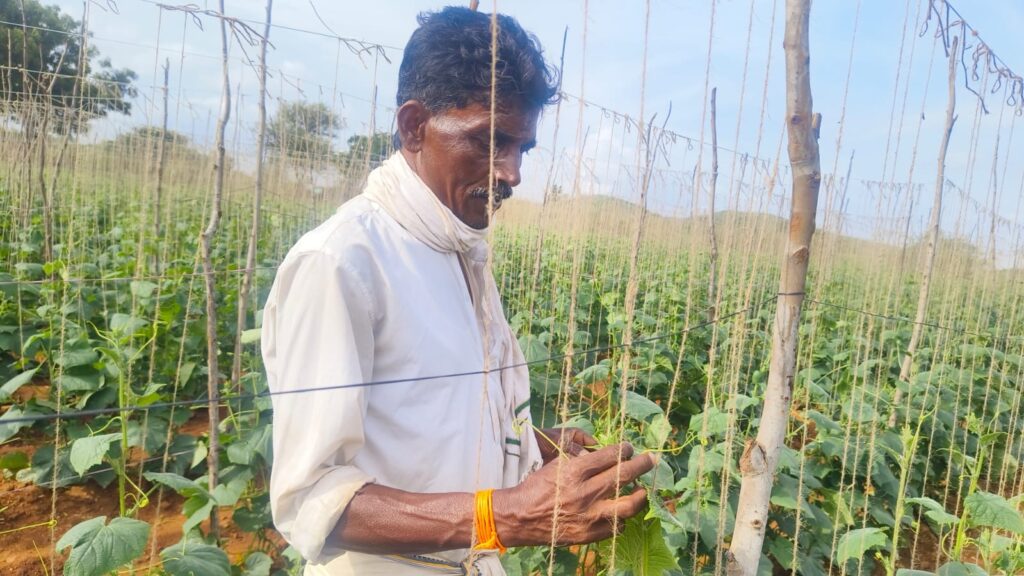 Farm & Agriculture