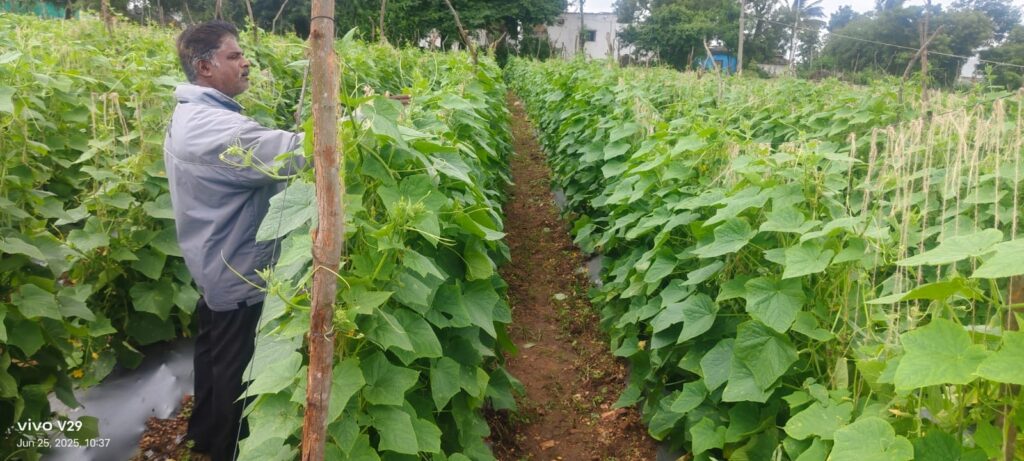 Farm & Agriculture