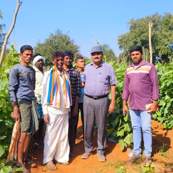 Farm & Agriculture