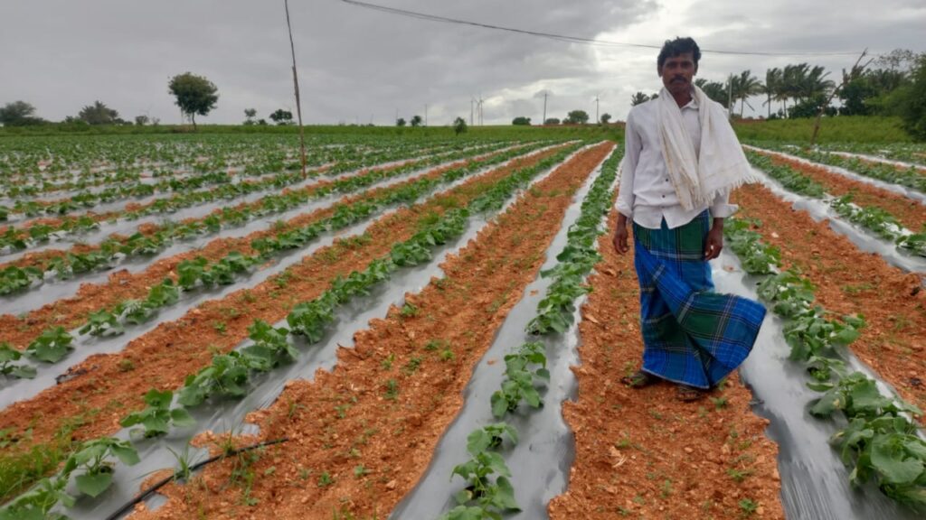 Farm & Agriculture