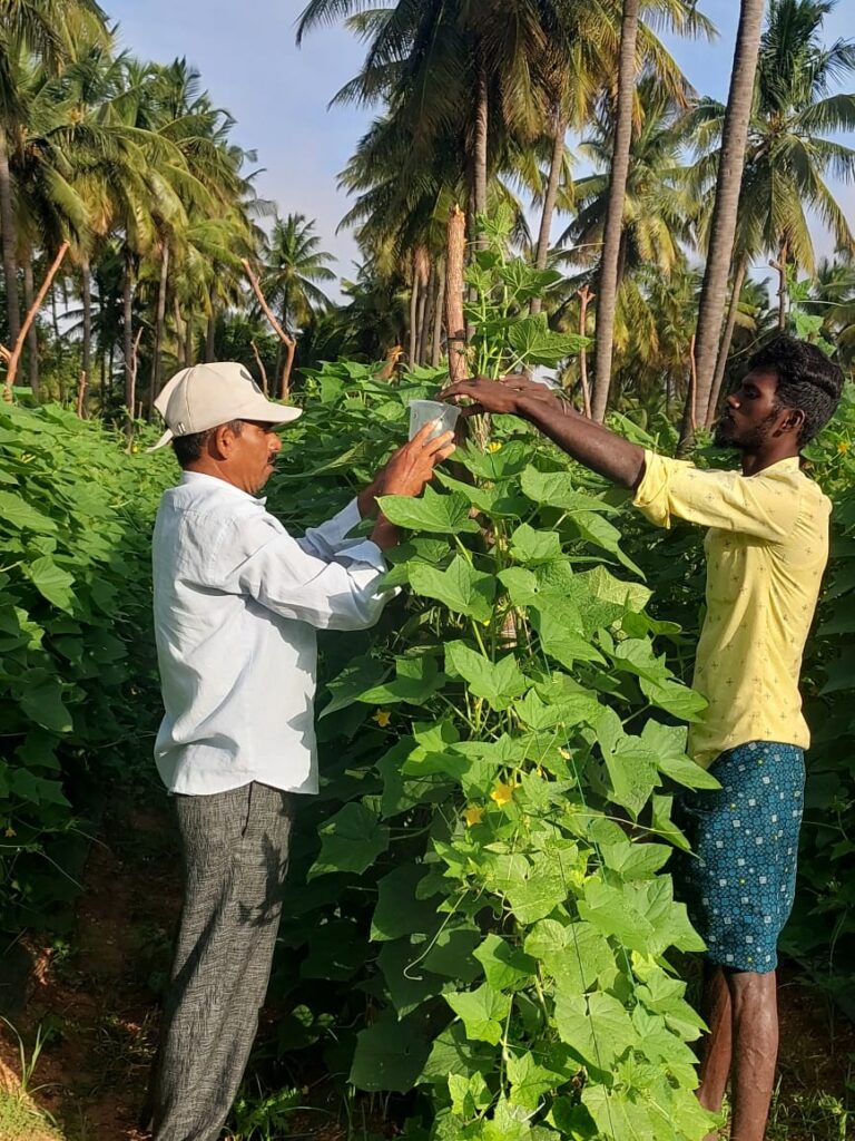 Farm & Agriculture