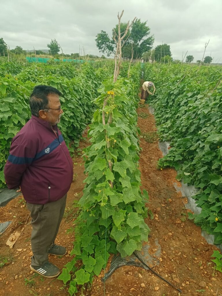 Farm & Agriculture